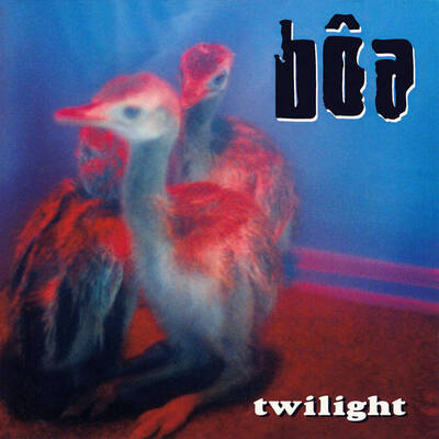 Bôa album