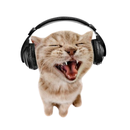 cat listening to music